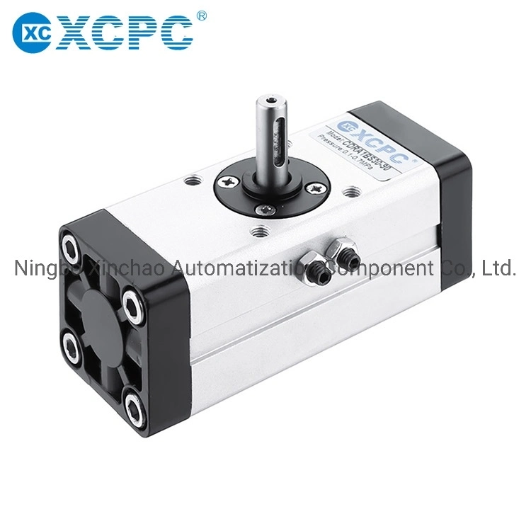 China Pneumatic Factory Cra1 Rack&Pinion Type Rotary Actuator